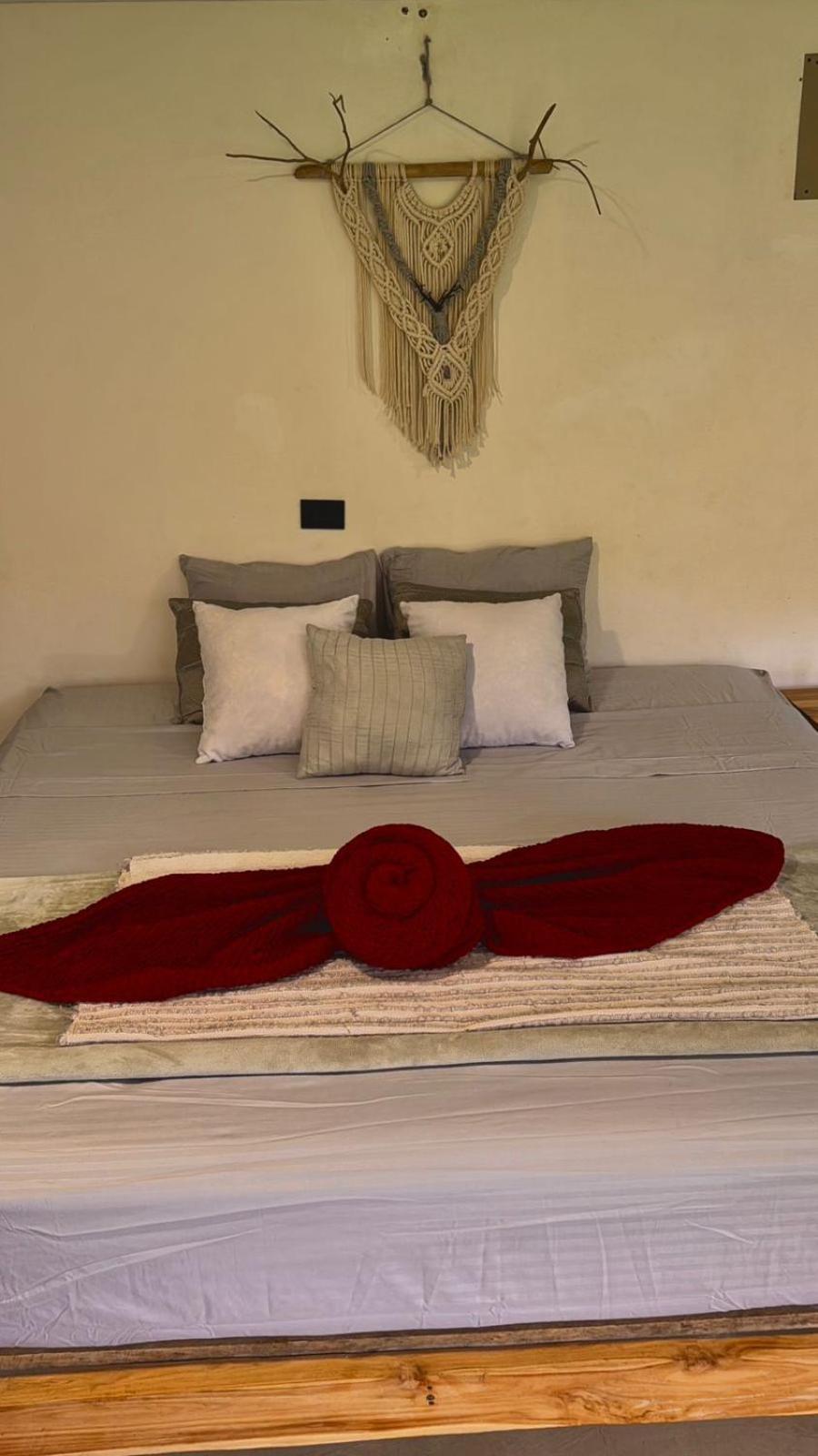 Deer House Cabuya Apartment Cabuya  Ngoại thất bức ảnh