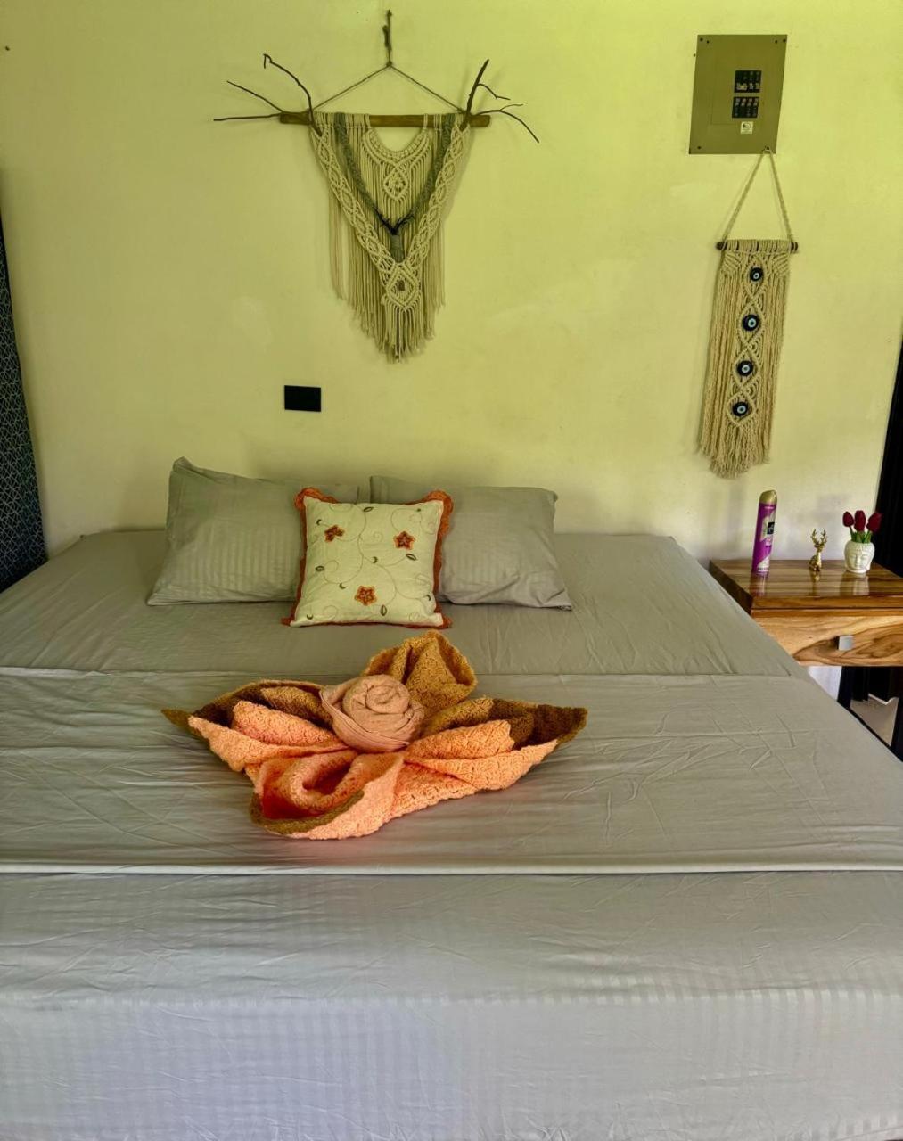Deer House Cabuya Apartment Cabuya  Ngoại thất bức ảnh